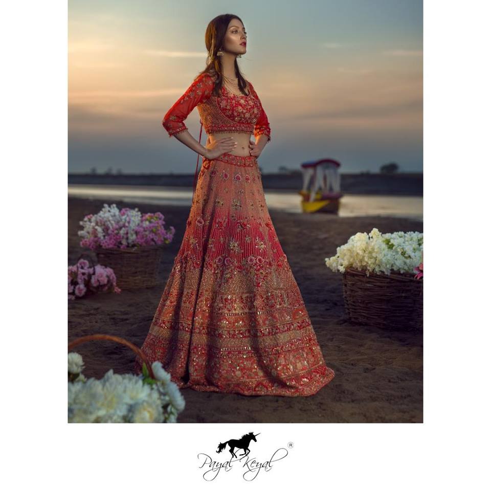 Scintillating Wedding Outfits By Payal Keyal That We Adore! | Indian bridal  fashion, Bridal lehenga red, Wedding lehenga designs